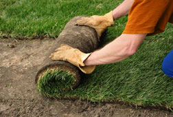 Landscaping Quality Plan Image